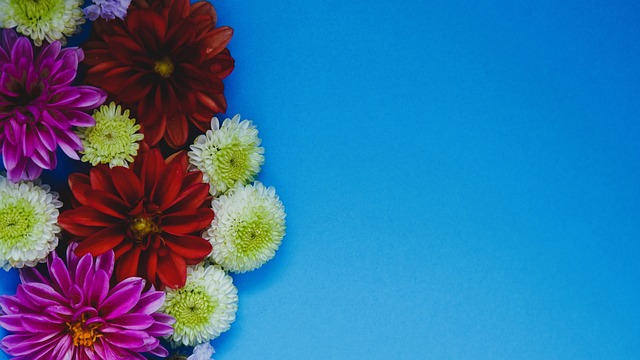 拉波尔塔：梅西回归不确定，但致敬计划已在路上